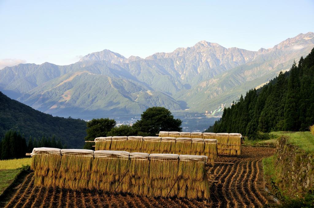 Lodge Nostalgia Hakuba Ngoại thất bức ảnh