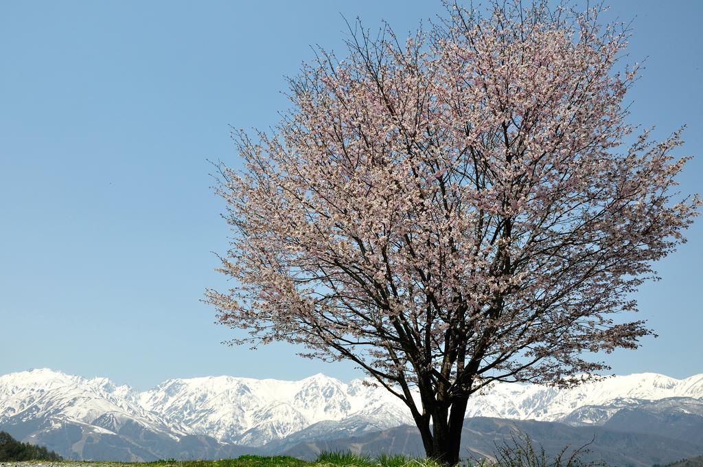 Lodge Nostalgia Hakuba Ngoại thất bức ảnh
